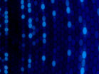 Blue Hex Grid