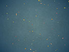 Digital Autumn Leaves Blue