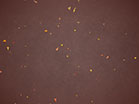 Digital Autumn Leaves Red
