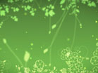 Firefly Foliage