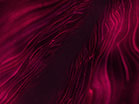 Flow Line Pink Slow