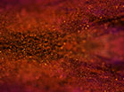Gem Dust Warm Cross