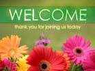 Bright Flowers Welcome