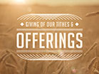 Summer Wheat Tithes Offerings
