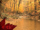 Autumn Countdown 2