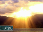 Nature Countdown