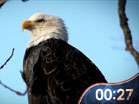 USA Patriotic Countdown