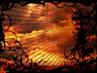 Cross Vines 2
