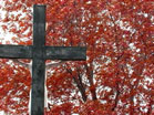 Fall Cross