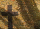 Cross Palm Shadows