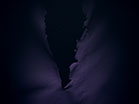 Crucifixion Veil Tears Apart