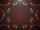 Crystal Patterns Red Green