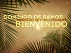 Domingo De Ramos Bienvenido
