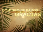 Domingo De Ramos Gracias
