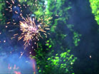 Fireworks Daytime