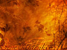 Give Thanks 2