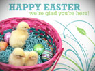 Happy Easter Baby Chicks
