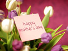 Happy Mothers Day Tulips