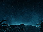 Holy Night Mountain Palms