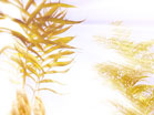 Lifting Palms 2