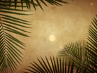 Palm Branches Frame