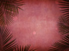Palm Branches Red