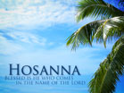 Palm Sunday Hosanna