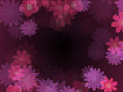 Pink And Purple Flowers