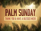 Sky View Palm Sunday Thanks