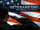 Veterans Day Soldier Flag