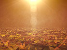 Vintage Thanksgiving Ground Leaves