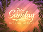 Vivid Fibers Palm Sunday