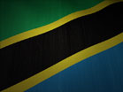 Tanzania Flag Waving