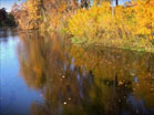 Autumn Longplay 2