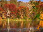 Autumn Lake
