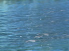 Blue Brook