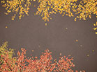 Digital Autumn Rich Brown