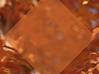 Fall Focus Closeup Diamond