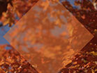 Fall Focus Golden Orange Diamond