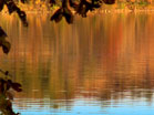 Falling Leaf Lake