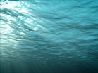 Ocean Waves Underwater Blue