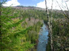 Pine River