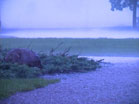 Rain Storm