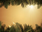 Sky View Palm Branches Gold
