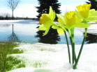 Spring Thaw