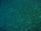 Summer Flow Blue Green