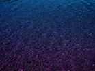 Summer Flow Rock Floor