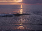 Sunset Surf Purple Gold