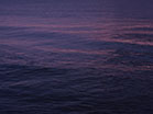 Sunset Surf Slow