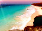Tropical Paradise